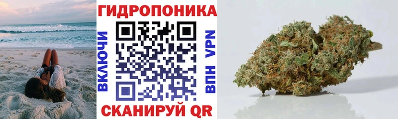 Наркота Мариинский Посад Марихуана  МЕФ  A-PVP  ГАШ 