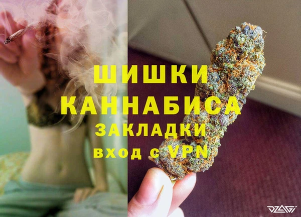 PSILOCYBIN Заволжье
