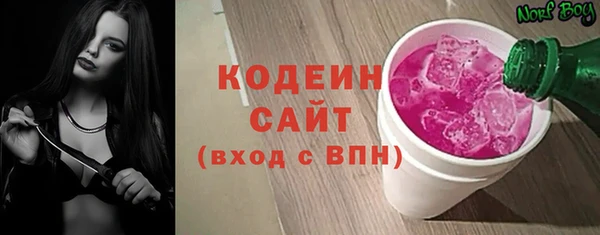 apvp Ельня