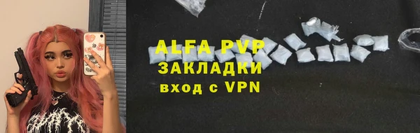 гидра Елизово