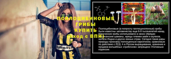 герыч Зеленодольск